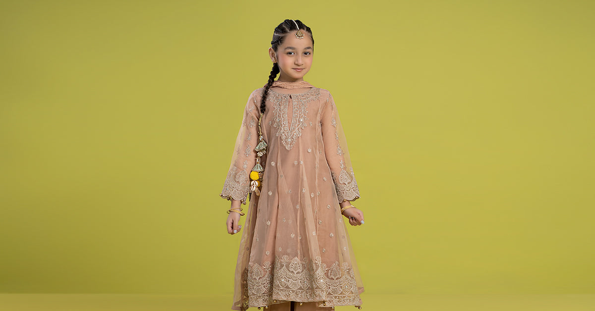 3 PIECE EMBROIDERED ORGANZA SUIT | MKS-EF24-05