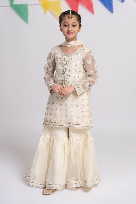 3 PIECE EMBROIDERED ORGANZA SUIT | MKS-EF24-11