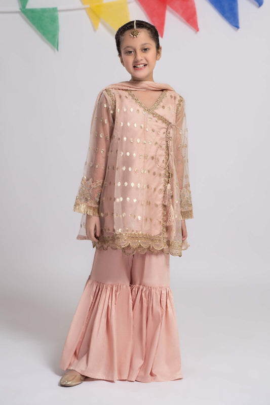 3 PIECE EMBROIDERED ORGANZA SUIT | MKS-EF24-18