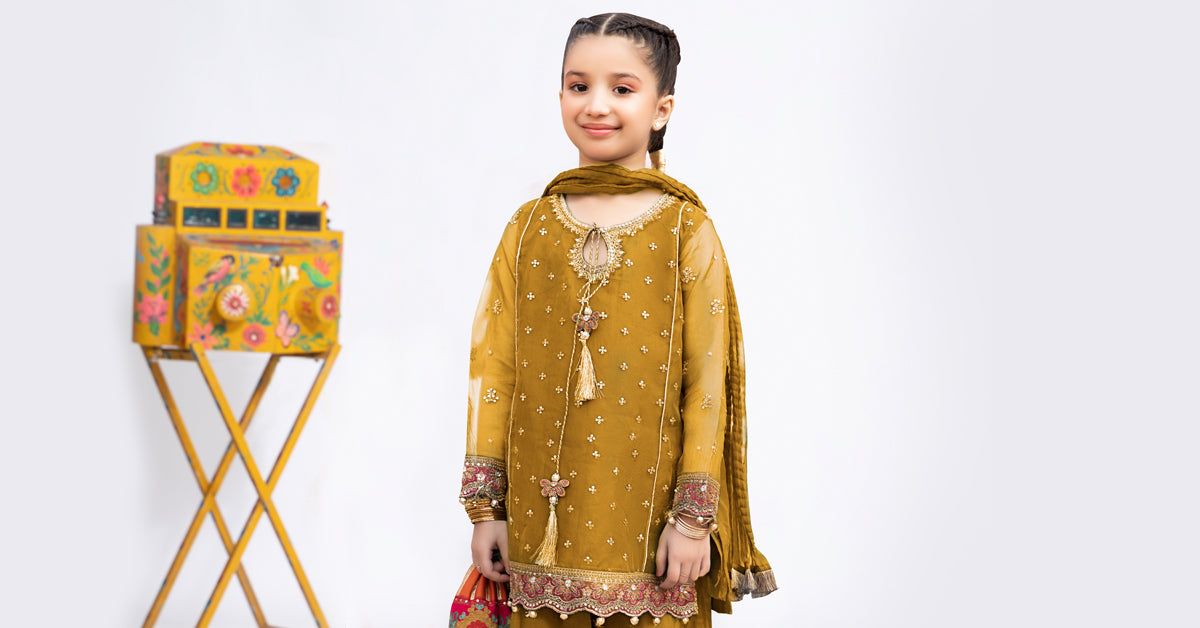 3 PIECE EMBROIDERED ORGANZA SUIT | MKS-EF24-21