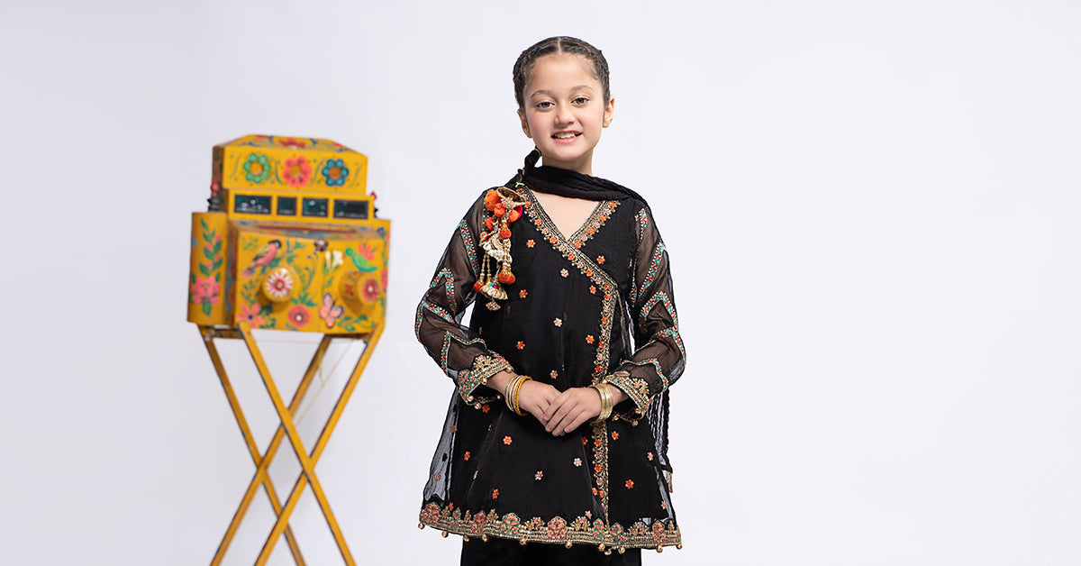 3 PIECE EMBROIDERED ORGANZA SUIT | MKS-EF24-24