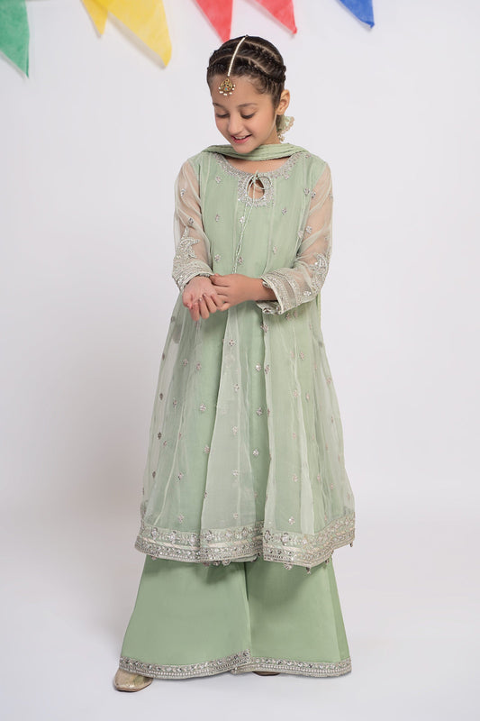 3 PIECE EMBROIDERED ORGANZA SUIT | MKS-EF24-15