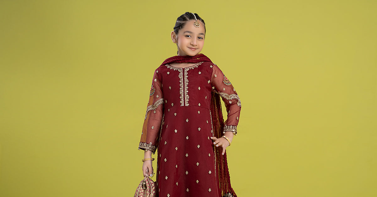 3 PIECE EMBROIDERED ORGANZA SUIT | MKS-EF24-23