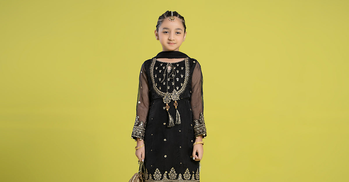 3 PIECE EMBROIDERED ORGANZA SUIT | MKS-EF24-37