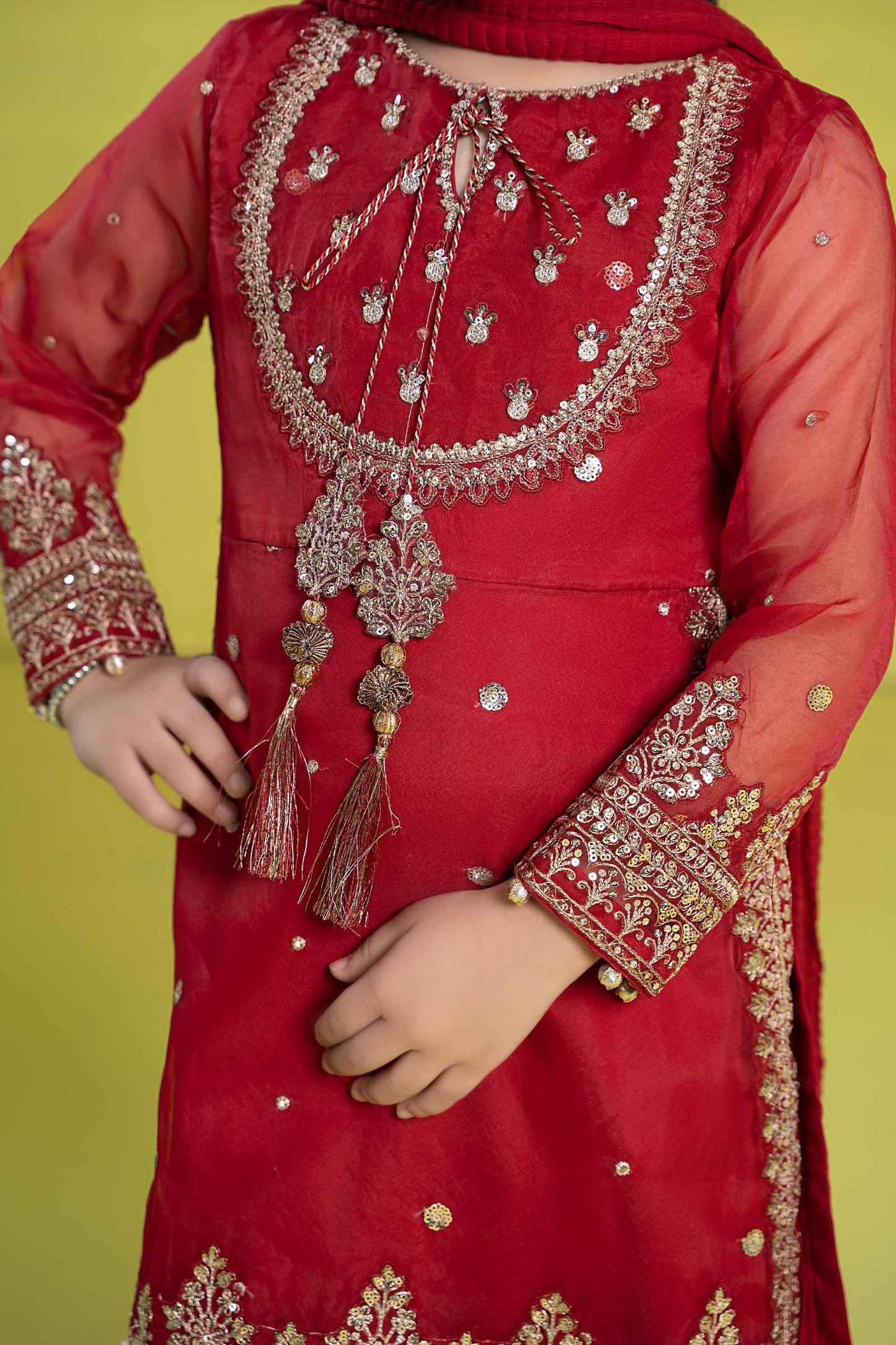 3 PIECE EMBROIDERED ORGANZA SUIT | MKS-EF24-37