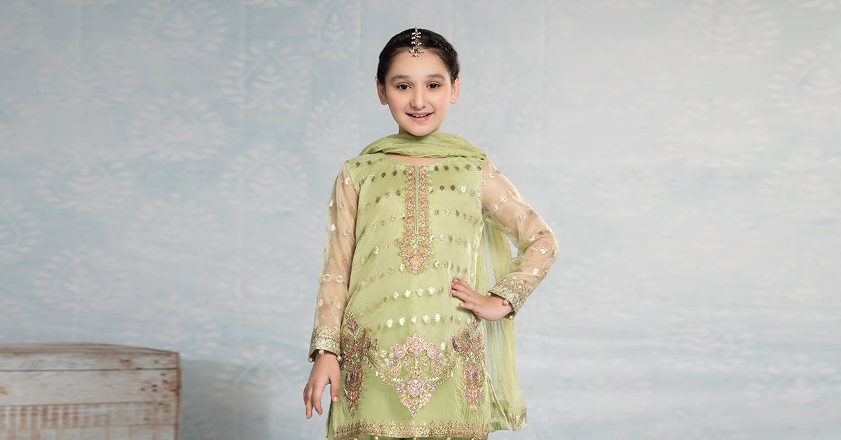 3 PIECE EMBROIDERED ORGANZA SUIT | MKS-EF24-45