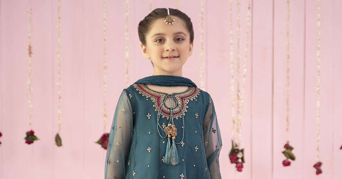 3 PIECE EMBROIDERED ORGANZA SUIT | MKS-EF24-16