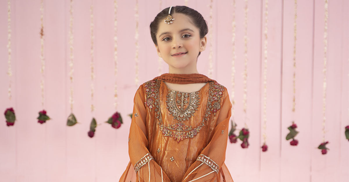 3 PIECE EMBROIDERED ORGANZA SUIT | MKS-EF24-26