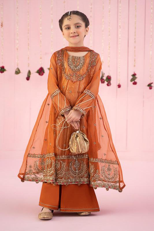 3 PIECE EMBROIDERED ORGANZA SUIT | MKS-EF24-26